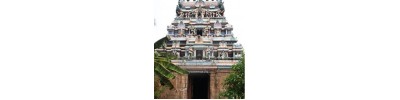 098. திருக்கோழம்பம்